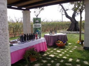 Degustazione prodotti presso azienda agricola Moccari