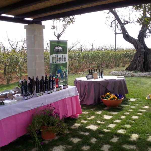 Degustazione prodotti presso azienda agricola Moccari