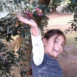 bambina-ulivo